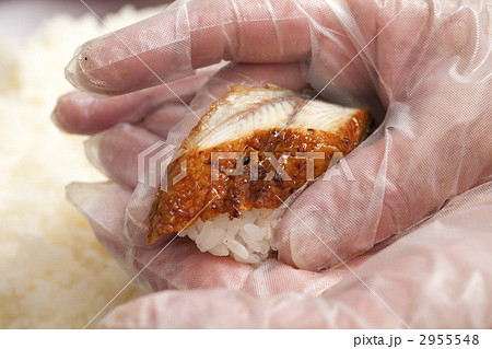 調理用手袋で握る寿司 調理用手袋で握る寿司 2955548