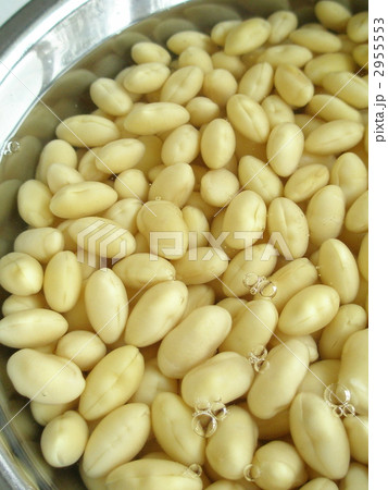 水に浸した大豆 2955553