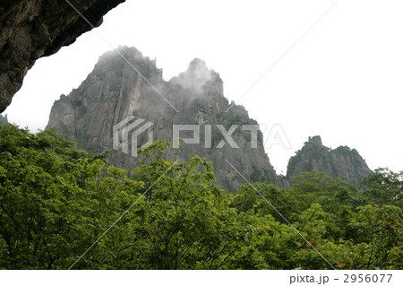 錫杖岳　前衛フェース 2956077