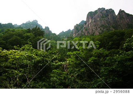 錫杖岳　2168m 2956088