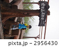 富士登山 2956430