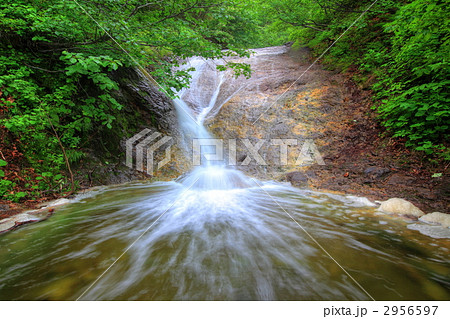 カムイワッカ湯の滝 2956597