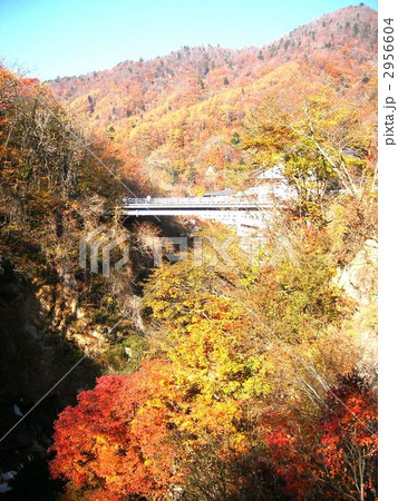 紅葉の川俣温泉 紅葉の川俣温泉 2956604