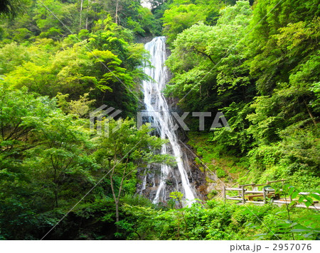 丸神の滝 丸神の滝 2957076