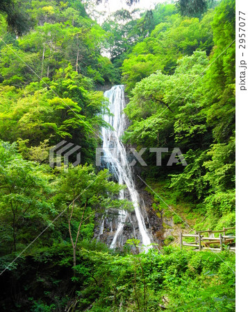 丸神の滝(縦) 丸神の滝(縦) 2957077