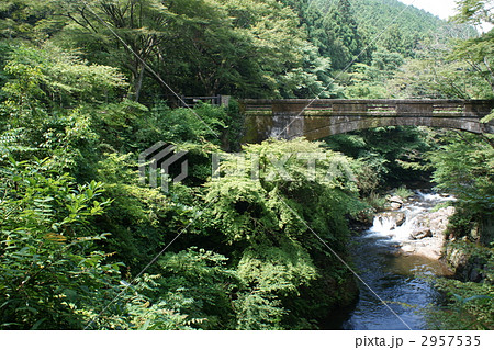 河内渓谷の忍田橋 2957535