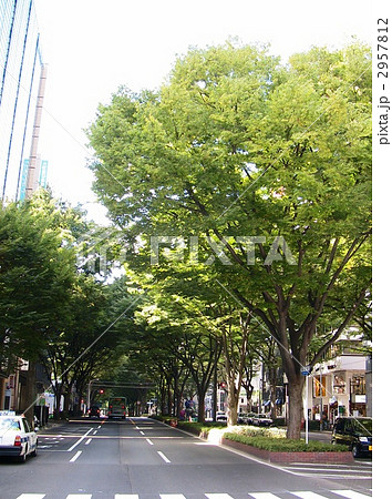 仙台　定禅寺通り 2957812