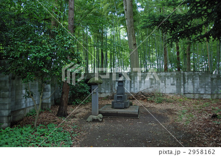 山形市内散歩・専称寺　駒姫の墓 2958162