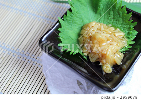 なめたけ 2959078