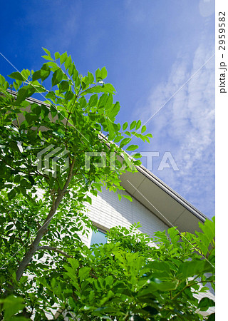 住まいのイメージ 住まいのイメージ 2959582