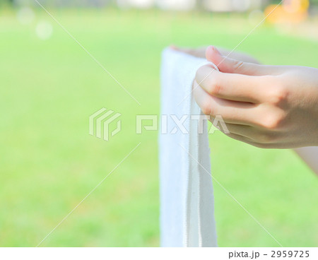 2959725