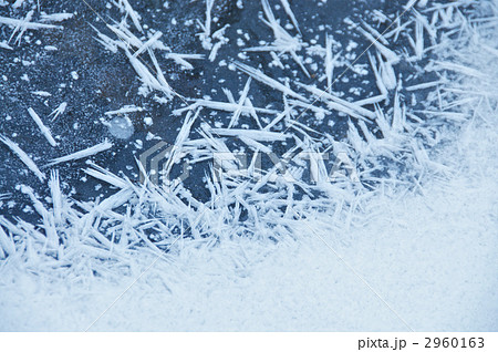 針状結晶が散る氷結池 2960163