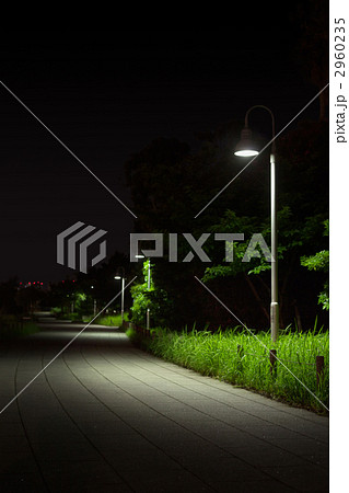夜の公園道の写真素材