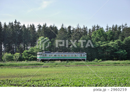 ローカル線 ローカル線 2960259
