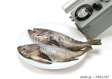 食の安全 食の安全 2961287