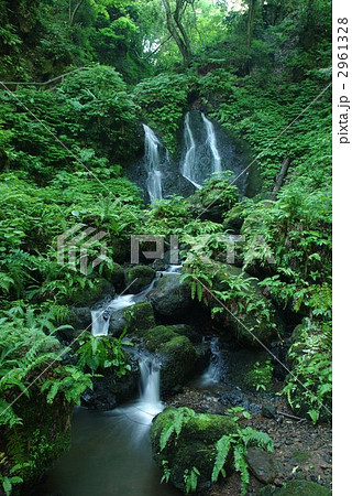 白玉の滝　雌滝 2961328