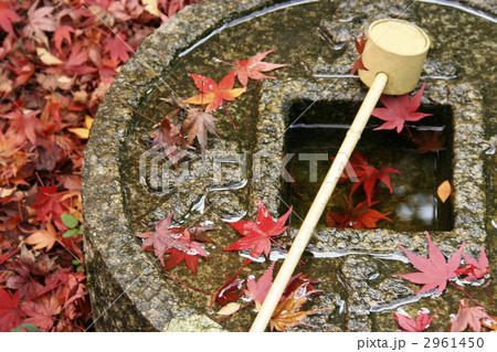 金福寺の手水鉢 金福寺の手水鉢 2961450