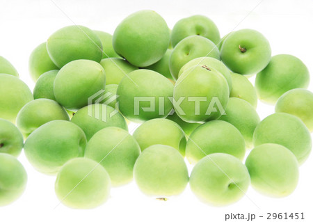 若狭町(福井県)の青梅 若狭町(福井県)の青梅 2961451