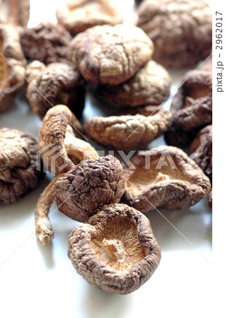 干し椎茸 干し椎茸 2962017