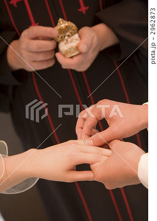 指輪交換 指輪交換 2962873