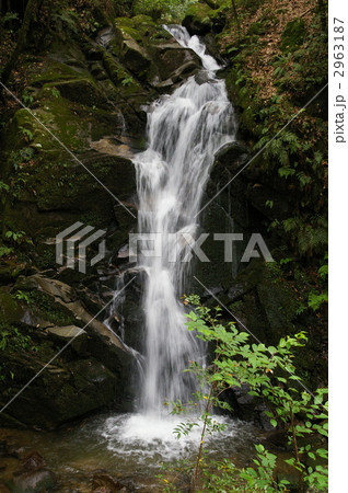 鶯の滝 2963187