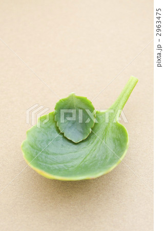 2963475