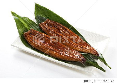 ウナギの蒲焼き 2964137
