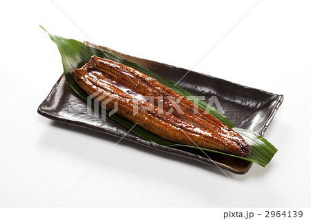 ウナギの蒲焼き 2964139