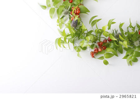 スグリのリース 2965821