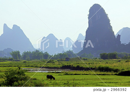 桂林近郊 2966392