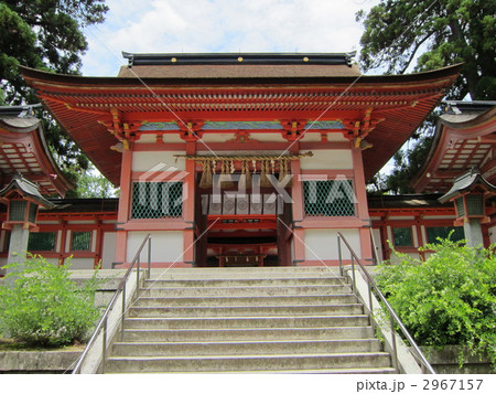 香椎宮の中門 2967157