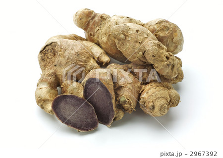 黒ウコン 黒ウコン 2967392