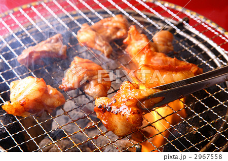 ホルモン ホルモン 2967558