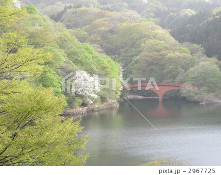 春の碓氷湖 春の碓氷湖 2967725