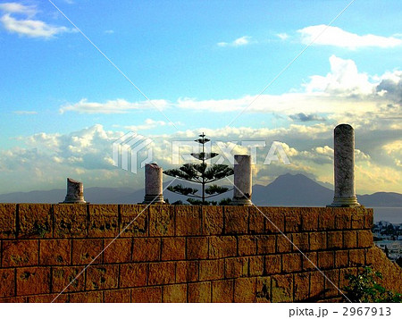 カルタゴ　ビュルザの丘から見たカルタゴの街（チュニジア） 2967913