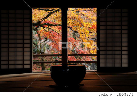 大宰府・光明禅寺の紅葉 2968579