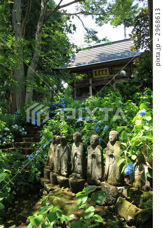 アジサイ寺 アジサイ寺 2968613