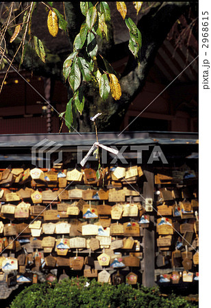 お御籤 お御籤 2968615