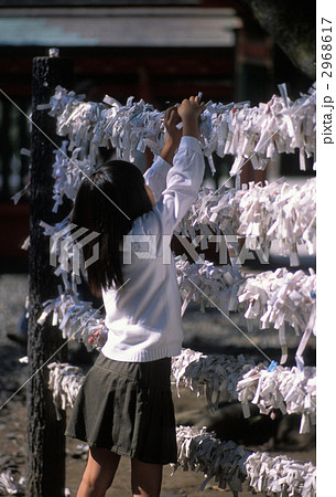 お御籤 お御籤 2968617