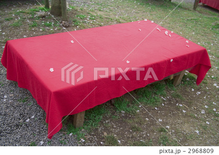 醍醐寺　春 2968809