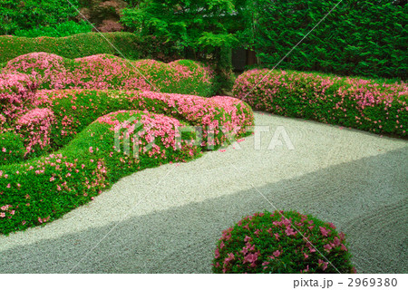 大池寺庭園 2969380