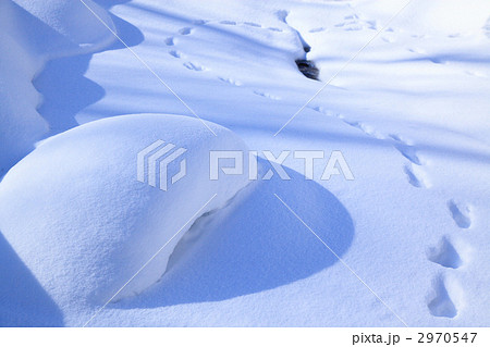 雪の造形 2970547