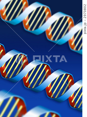 DNAイメージCG 2970802