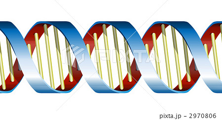 DNAイメージCG 2970806