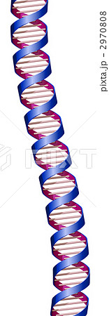 DNAイメージCG 2970808