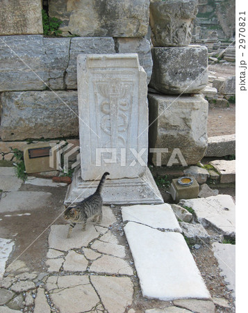 エフェソス遺跡の蛇杖と猫 エフェソス遺跡の蛇杖と猫 2970821