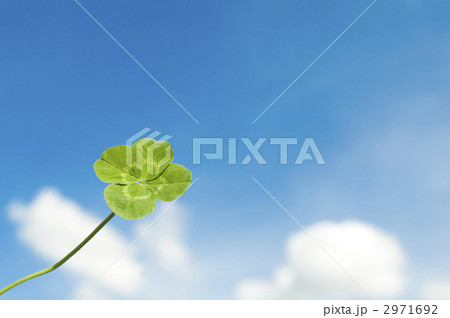 四葉のクローバーと青空 2971692
