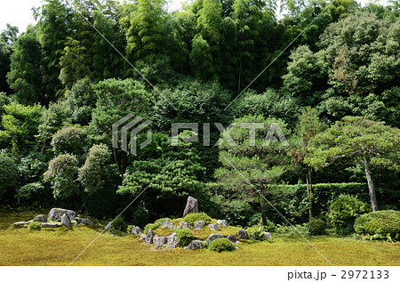 芬陀院、鶴亀の庭 芬陀院、鶴亀の庭 2972133