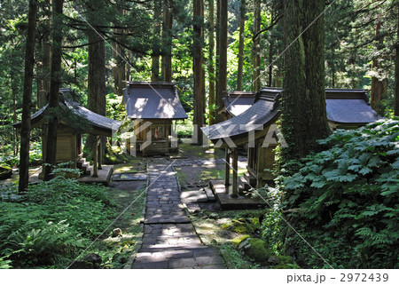 羽黒山散歩・羽黒山参道　継子坂 2972439