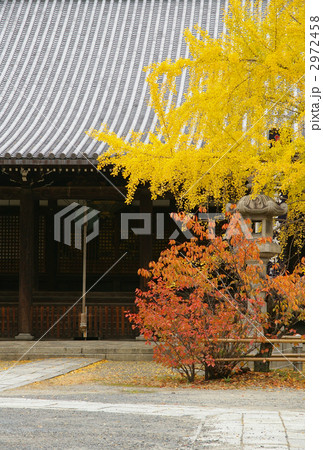 頂妙寺 2972458